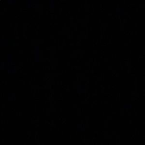 Meet your Posher, Justen